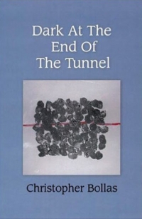 Dark at the End of the Tunnel by Christopher Bollas