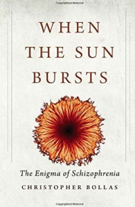 When The Sun Bursts by Christopher Bollas